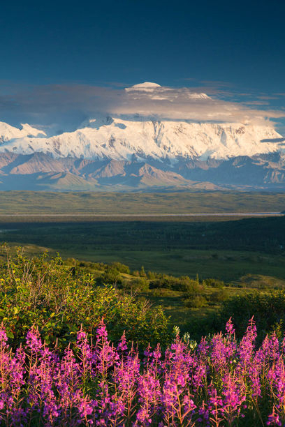Denali